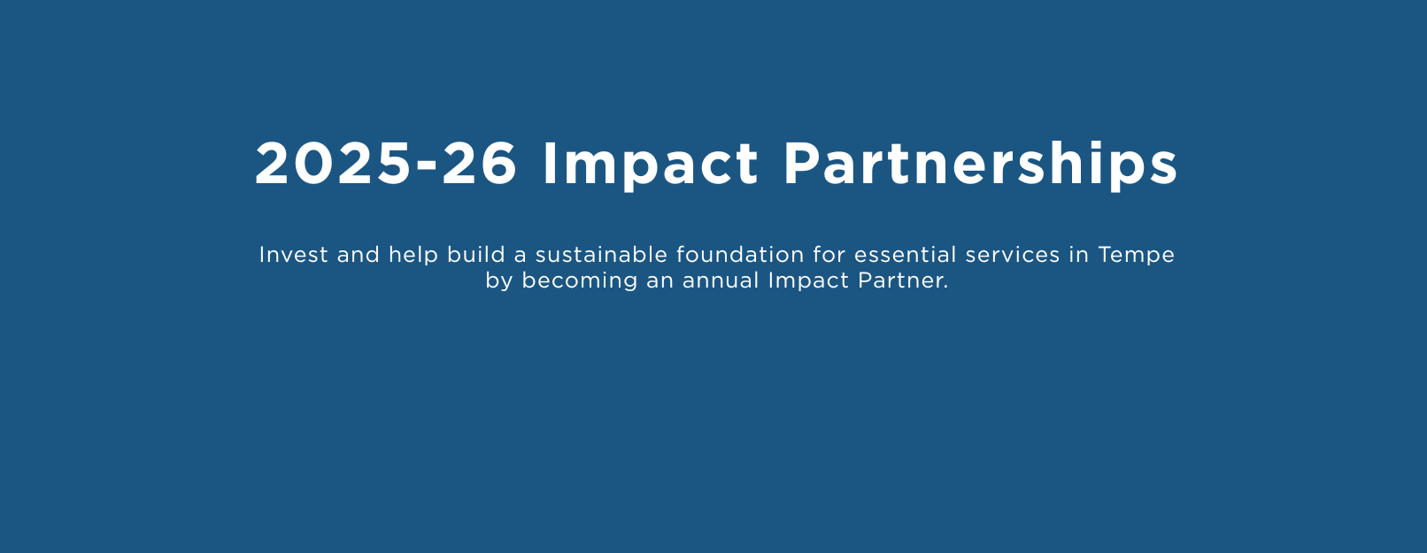 Annual Impact Partner 2025-26